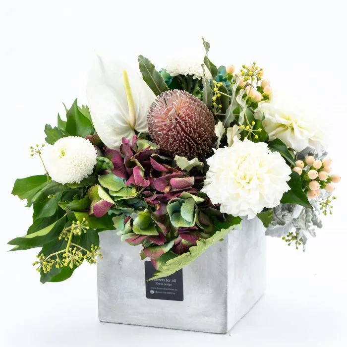 Native arrangement with banksia, antique hydrangea, white dahlia and hypericum in a raw concrete cube with studio F-tag — Classic Twist