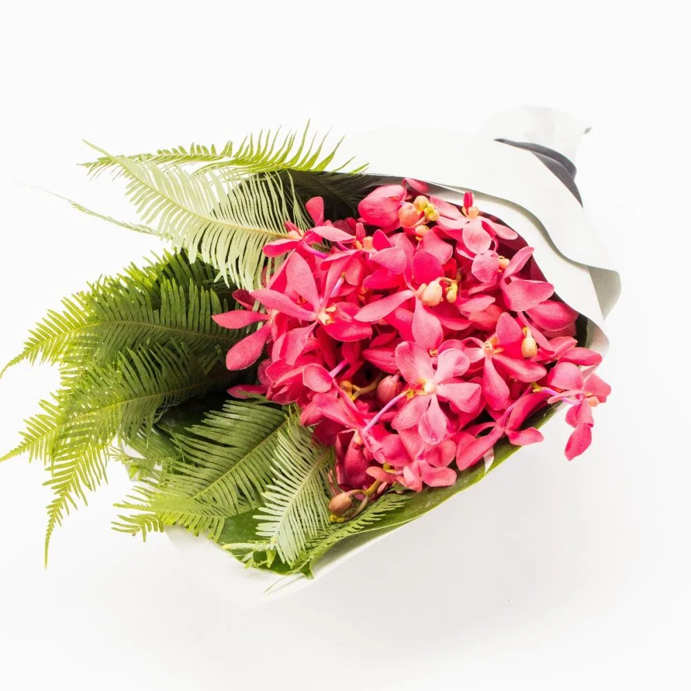 Hot-pink mokara orchid spray with green fern, hand-wrapped in white paper — Red Tropical arrangement