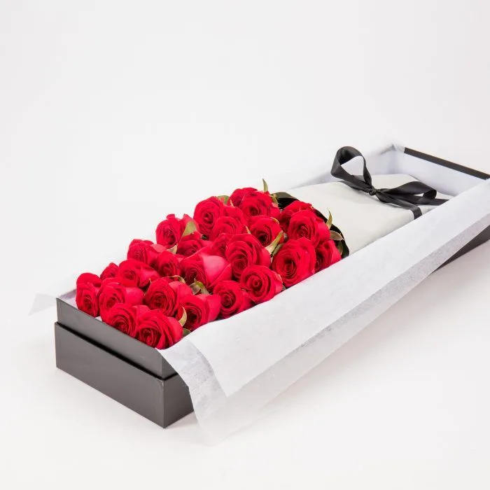 Two dozen red roses in a long black presentation box with white tissue and black ribbon — Classic Essence of Romance